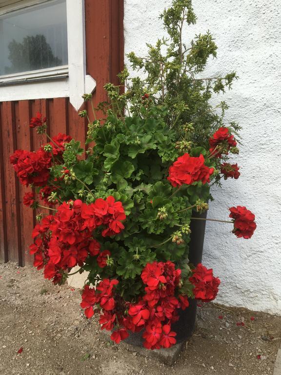Ferienwohnung Torpgarden Oennerudsvaegen 56 Torsby Exterior foto